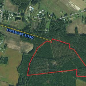 Photo #17 of Off NC HWY 130, Orrum, NC 40.8 acres