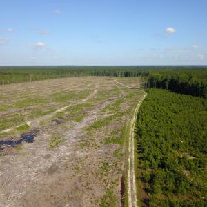 Photo #3 of Off Hwy 258, Como, NC 175.0 acres