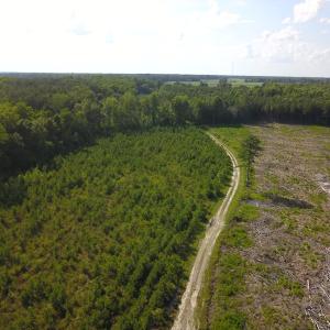 Photo #6 of Off Hwy 258, Como, NC 175.0 acres