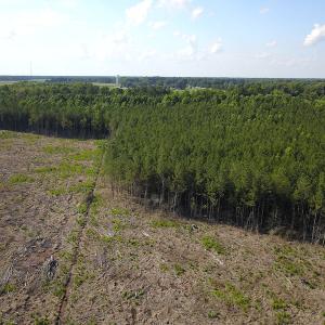 Photo #8 of Off Hwy 258, Como, NC 175.0 acres