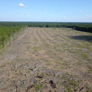 Photo #10 of Off Hwy 258, Como, NC 175.0 acres