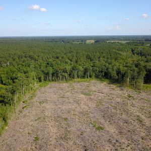 Photo #11 of Off Hwy 258, Como, NC 175.0 acres