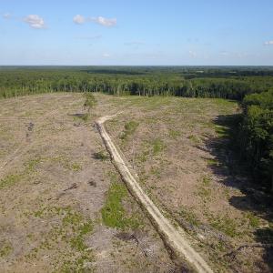 Photo #13 of Off Hwy 258, Como, NC 175.0 acres