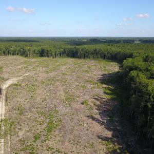 Photo #14 of Off Hwy 258, Como, NC 175.0 acres