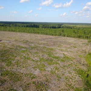 Photo #16 of Off Hwy 258, Como, NC 175.0 acres