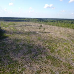 Photo #17 of Off Hwy 258, Como, NC 175.0 acres