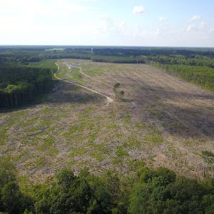 Photo #18 of Off Hwy 258, Como, NC 175.0 acres