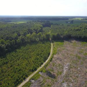 Photo #19 of Off Hwy 258, Como, NC 175.0 acres