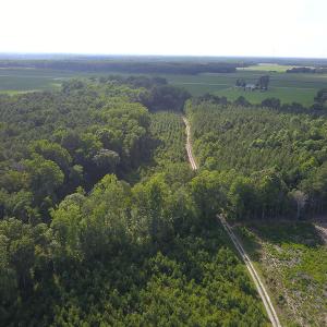 Photo #20 of Off Hwy 258, Como, NC 175.0 acres