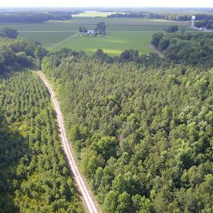 Photo #21 of Off Hwy 258, Como, NC 175.0 acres