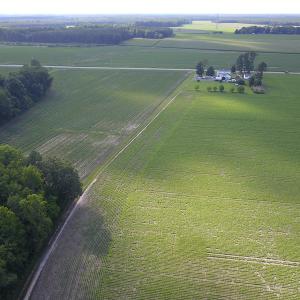 Photo #22 of Off Hwy 258, Como, NC 175.0 acres