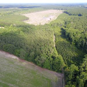Photo #23 of Off Hwy 258, Como, NC 175.0 acres