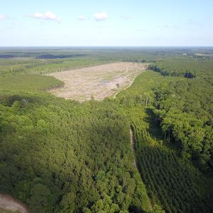 Photo #24 of Off Hwy 258, Como, NC 175.0 acres