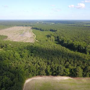 Photo #25 of Off Hwy 258, Como, NC 175.0 acres