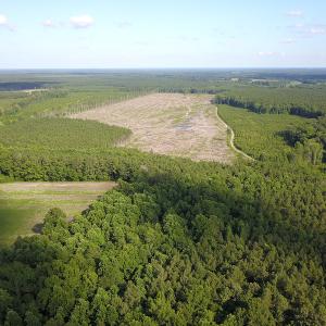 Photo #26 of Off Hwy 258, Como, NC 175.0 acres