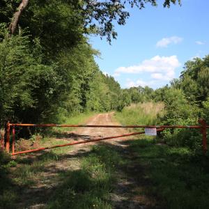 Photo #29 of Off Hwy 258, Como, NC 175.0 acres