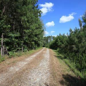 Photo #32 of Off Hwy 258, Como, NC 175.0 acres