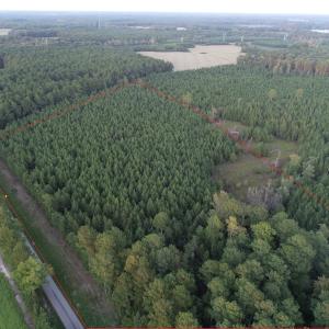 Photo #9 of SOLD property in Off Beaver Dam Road, Waverly, VA 20.0 acres