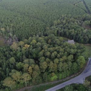 Photo #10 of SOLD property in Off Beaver Dam Road, Waverly, VA 20.0 acres