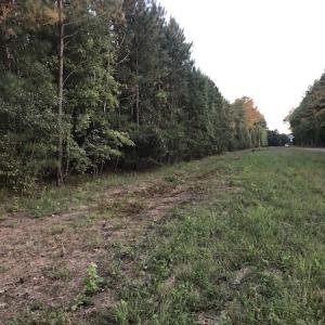 Photo #11 of SOLD property in Off Beaver Dam Road, Waverly, VA 20.0 acres