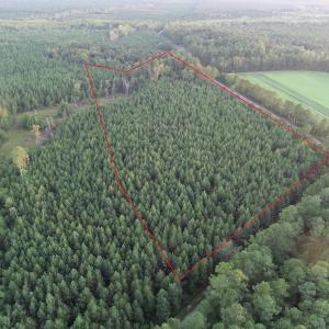 Photo #2 of SOLD property in Off Beaver Dam Road, Waverly, VA 20.0 acres