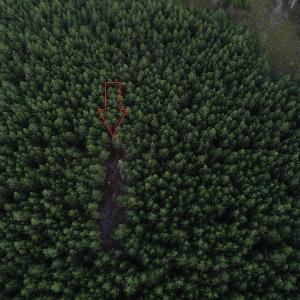 Photo #19 of SOLD property in Off Beaver Dam Road, Waverly, VA 20.0 acres