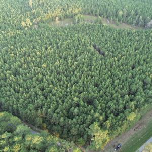Photo #3 of SOLD property in Off Beaver Dam Road, Waverly, VA 20.0 acres