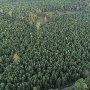 Photo #5 of SOLD property in Off Beaver Dam Road, Waverly, VA 20.0 acres