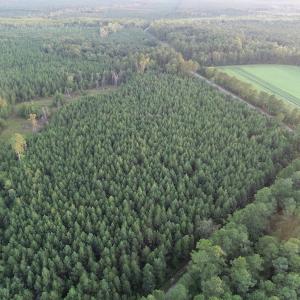 Photo #6 of SOLD property in Off Beaver Dam Road, Waverly, VA 20.0 acres
