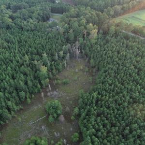 Photo #7 of SOLD property in Off Beaver Dam Road, Waverly, VA 20.0 acres