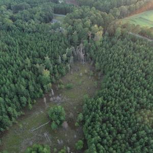 Photo #7 of SOLD property in Off Beaver Dam Road, Waverly, VA 20.0 acres
