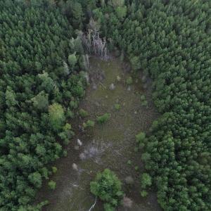 Photo #8 of SOLD property in Off Beaver Dam Road, Waverly, VA 20.0 acres