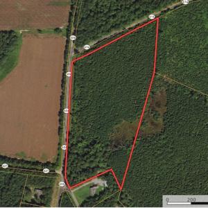 Photo #1 of SOLD property in Off Beaver Dam Road, Waverly, VA 20.0 acres