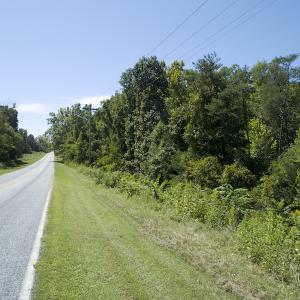 Photo #11 of SOLD property in Off Hightowers Road, Mebane, NC 14.1 acres