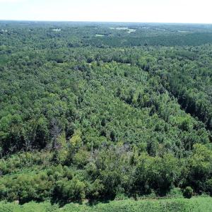 Photo #3 of SOLD property in Off Hightowers Road, Mebane, NC 14.1 acres