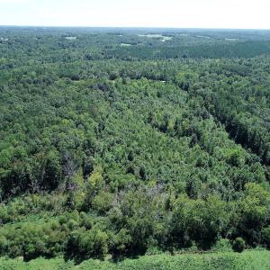 Photo #4 of SOLD property in Off Hightowers Road, Mebane, NC 14.1 acres