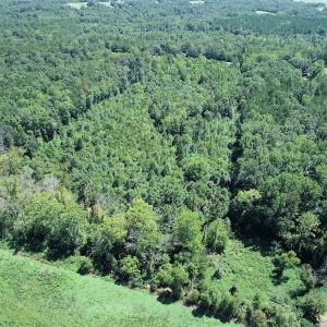 Photo #5 of SOLD property in Off Hightowers Road, Mebane, NC 14.1 acres