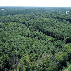 Photo #6 of SOLD property in Off Hightowers Road, Mebane, NC 14.1 acres