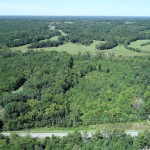 Photo #7 of SOLD property in Off Hightowers Road, Mebane, NC 14.1 acres