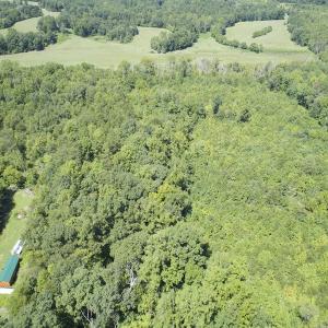 Photo #8 of SOLD property in Off Hightowers Road, Mebane, NC 14.1 acres