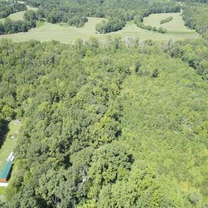 Photo #8 of SOLD property in Off Hightowers Road, Mebane, NC 14.1 acres