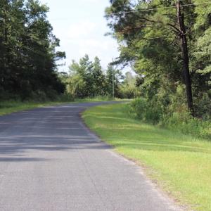 Photo #19 of SOLD property in Off Palmeto Bay Road, Hallsboro, NC 11.7 acres