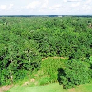 Photo #3 of SOLD property in Off Palmeto Bay Road, Hallsboro, NC 11.7 acres
