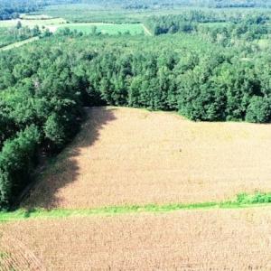 Photo #4 of SOLD property in Off Palmeto Bay Road, Hallsboro, NC 11.7 acres