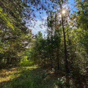 Photo #21 of SOLD property in Off Willie Pace Road, Burlington, NC 13.0 acres