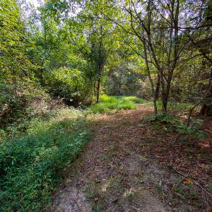 Photo #25 of SOLD property in Off Willie Pace Road, Burlington, NC 13.0 acres