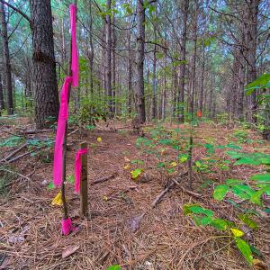 Photo #36 of SOLD property in Off Willie Pace Road, Burlington, NC 13.0 acres