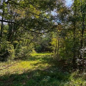 Photo #38 of SOLD property in Off Willie Pace Road, Burlington, NC 13.0 acres