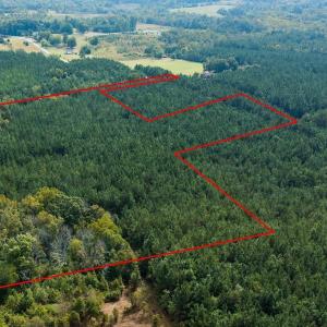 Photo #3 of SOLD property in Off Willie Pace Road, Burlington, NC 13.0 acres