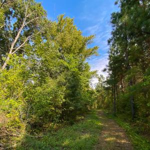 Photo #45 of SOLD property in Off Willie Pace Road, Burlington, NC 13.0 acres